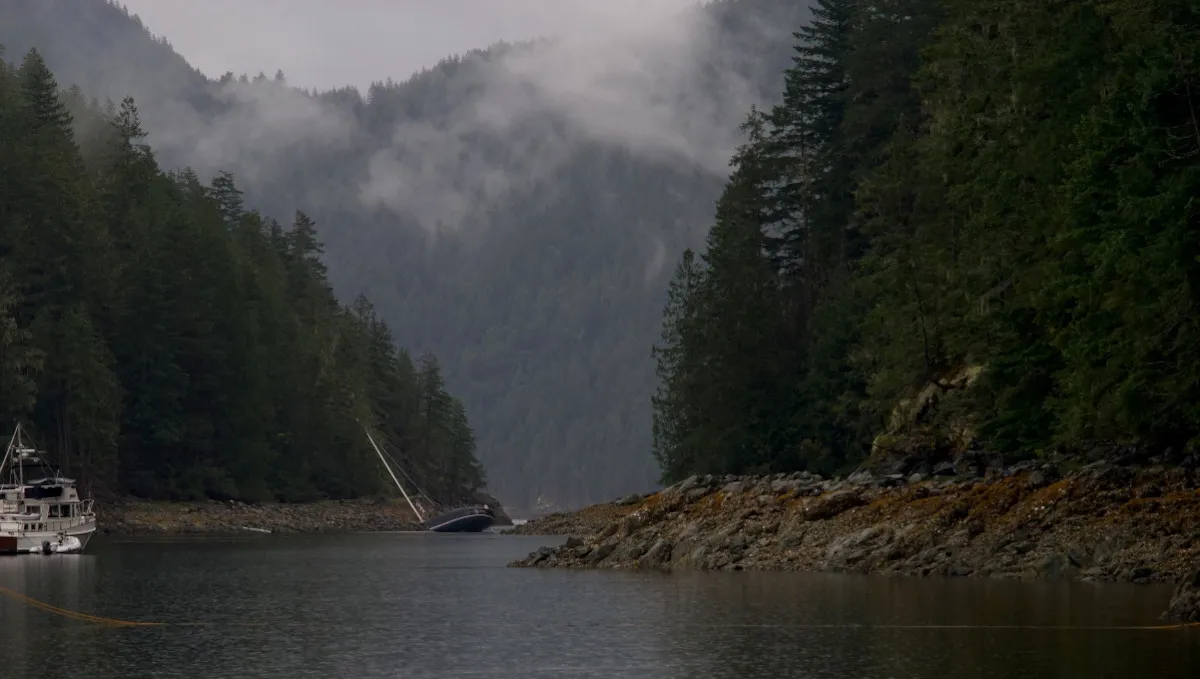Roscoe Bay, anchorage in Canada — photo 5