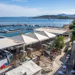 Scout Camps Marina