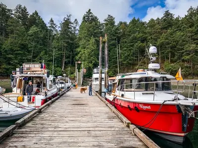 Prevost Harbor, stop — photo 2