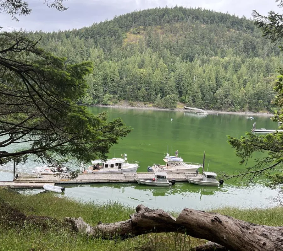 Prevost Harbor, stop — photo 5