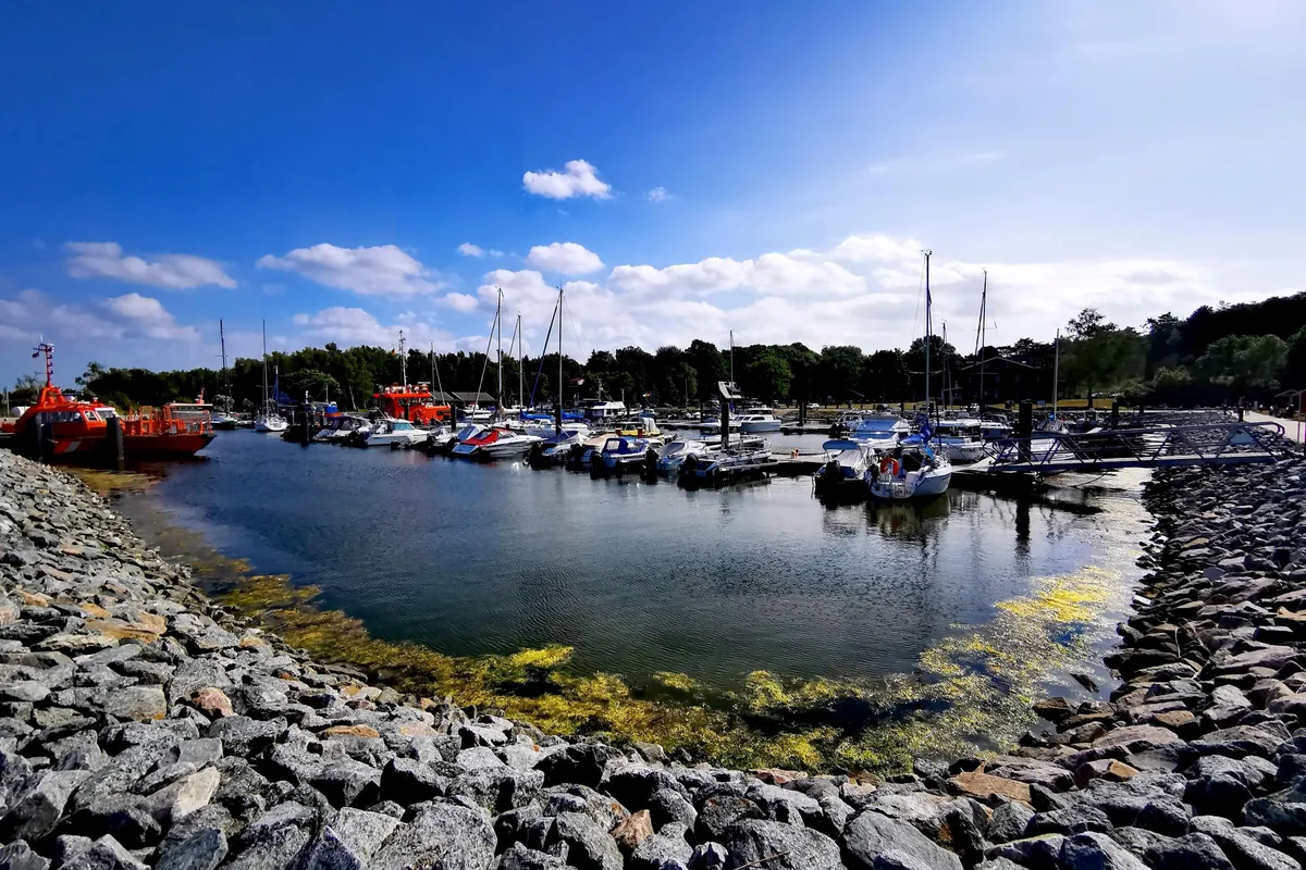 Hafen Barhöft, marina in Altenpleen, Germany — photo 6
