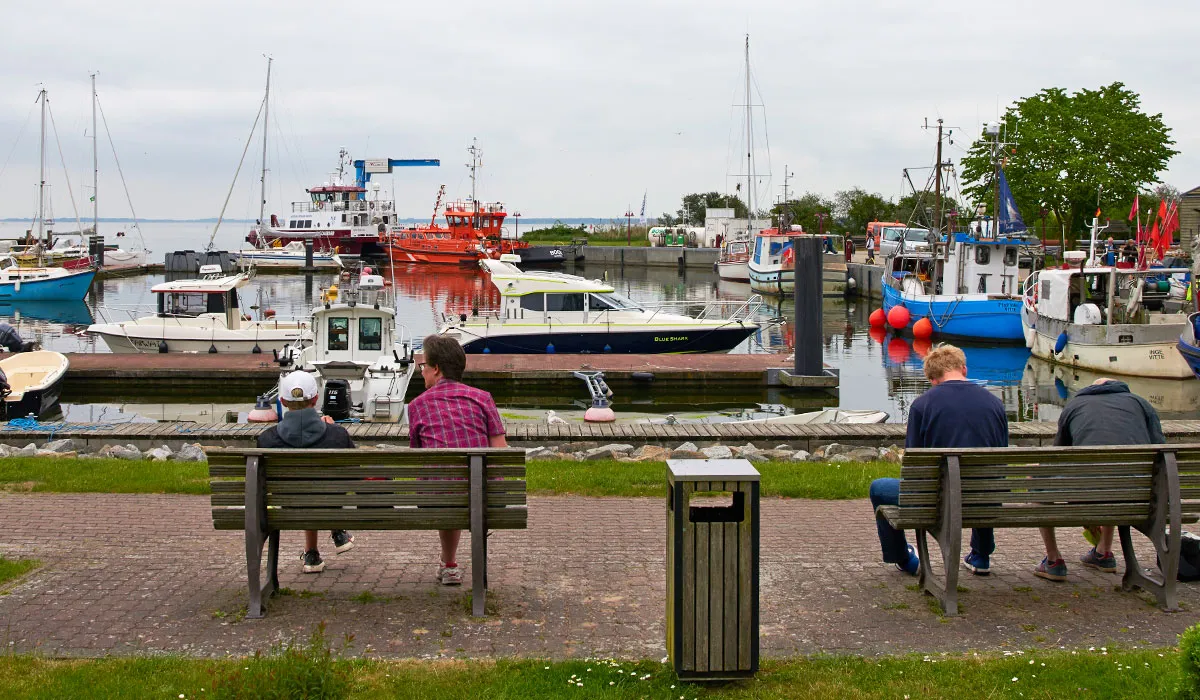 Hafen Barhöft, marina in Altenpleen, Germany — photo 2