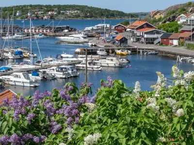 Björkö hamn, marina in Björkö, Sweden — photo 3