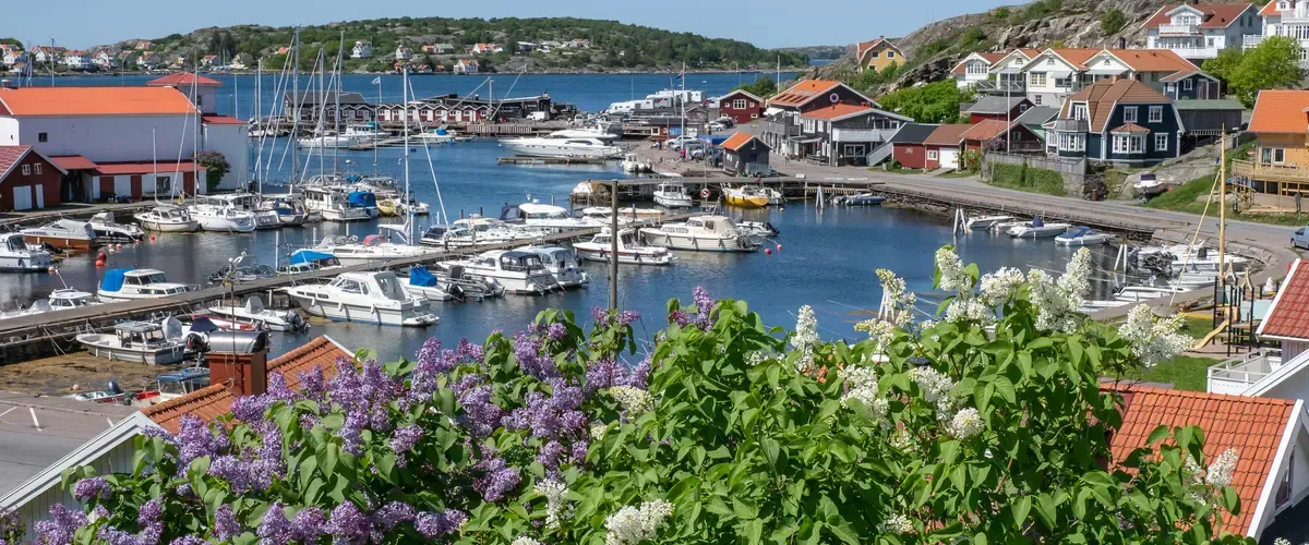 Björkö hamn, marina in Björkö, Sweden — photo 3