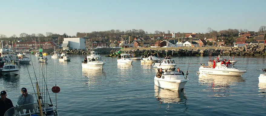 Tejn Harbour, marina in Tejn, Denmark — photo 3