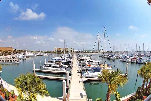 Ocean Club Marina Port Canaveral in Brevard County, United States — photo 2