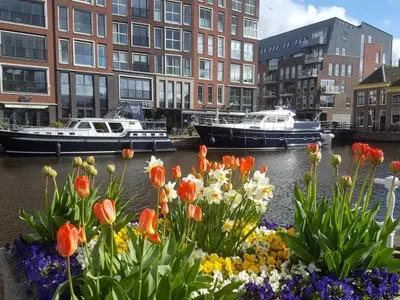 Passantenhaven Alkmaar, marina in Alkmaar, Netherlands — photo 5