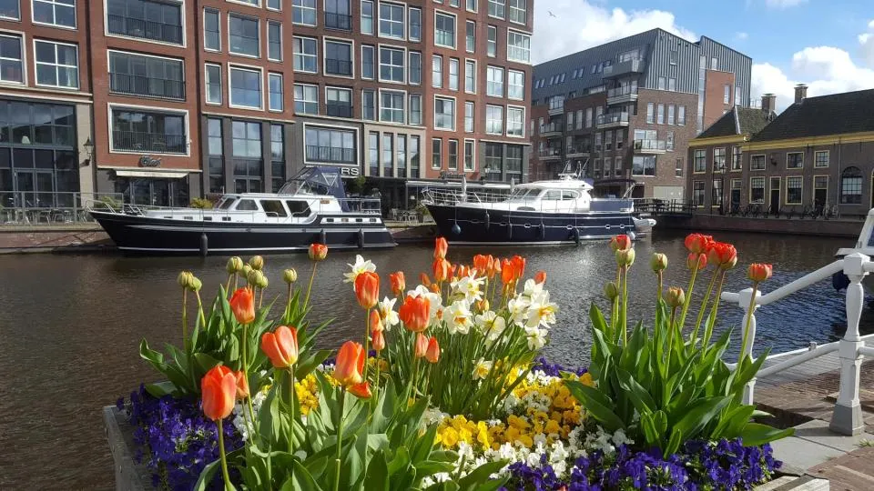 Passantenhaven Alkmaar, marina in Alkmaar, Netherlands — photo 5