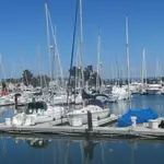 Ballena Isle Marina