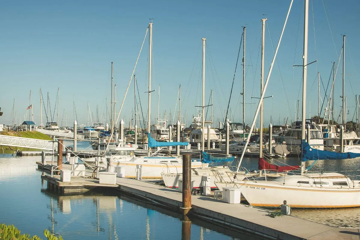 Ballena Isle Marina in Alameda, United States — photo 2