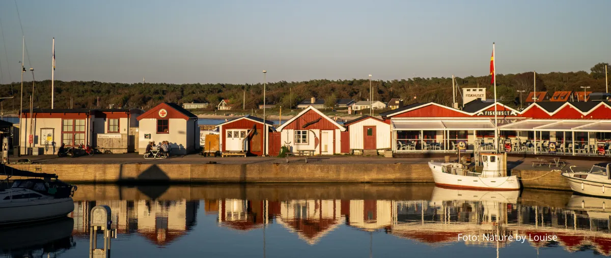 Torekovs hamn, marina in Torekov, Sweden — photo 8