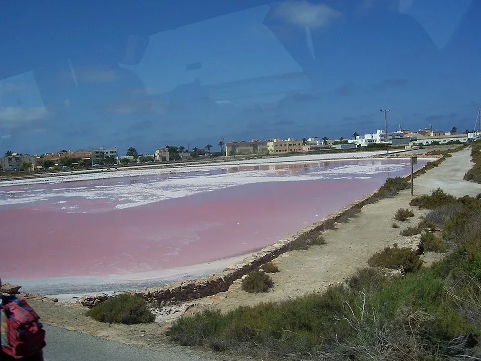 Mollet d'en Guasc Marina in Formentera, Spain — photo 6