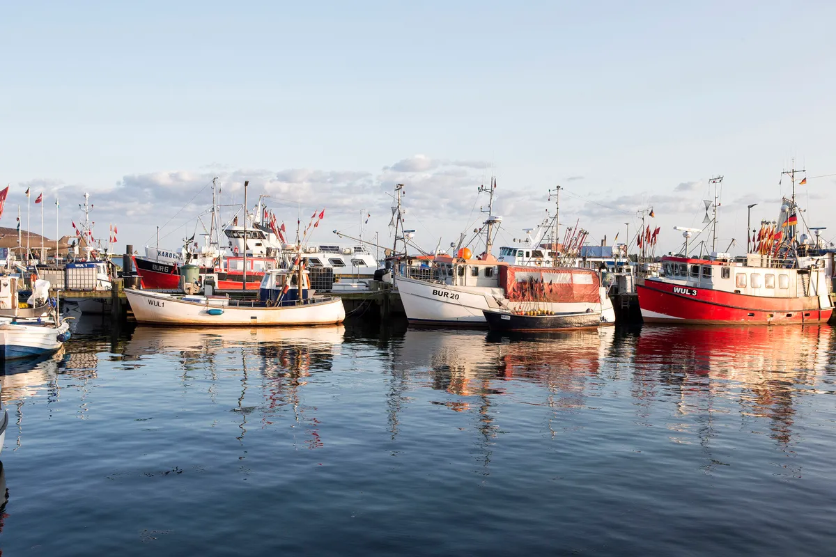 Fähr- und Fischereihafen Burgstaaken, marina in Fehmarn, Germany — photo 8