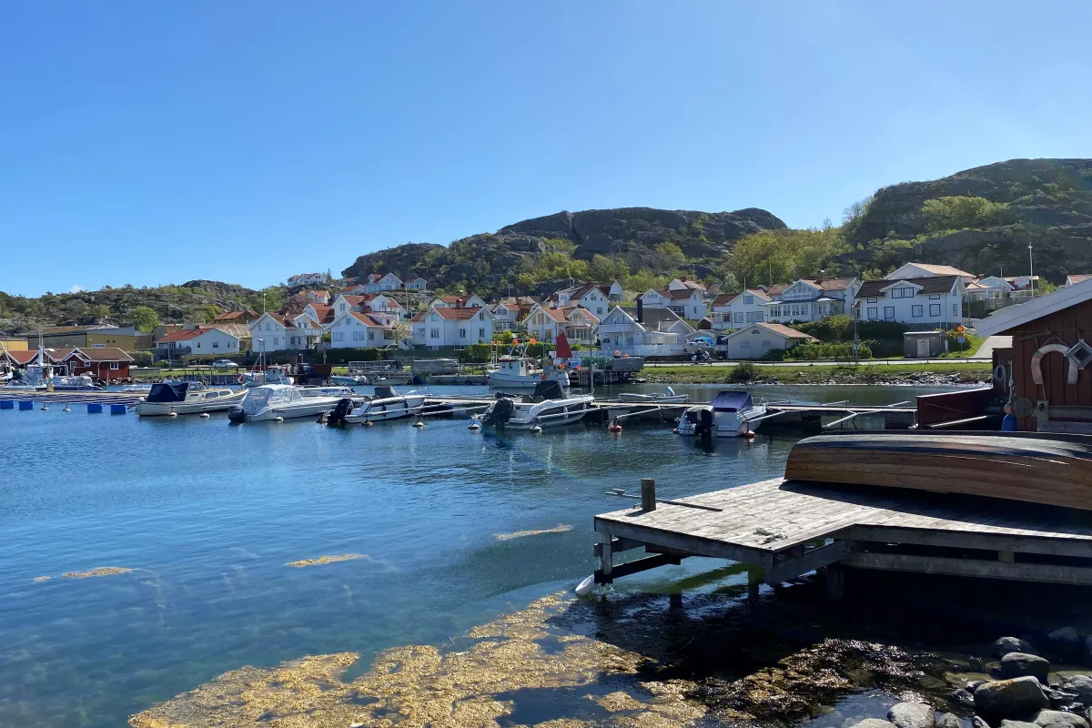 Ellös gästhamn, marina in Ellös, Sweden — photo 2