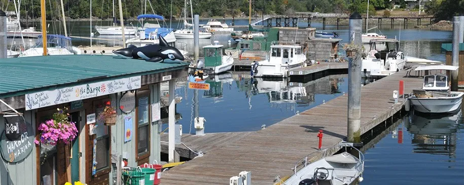 Deer Harbor Marina in Deer Harbor, United States — photo 7