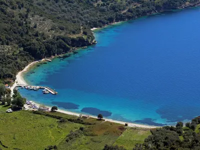 Bay Polis