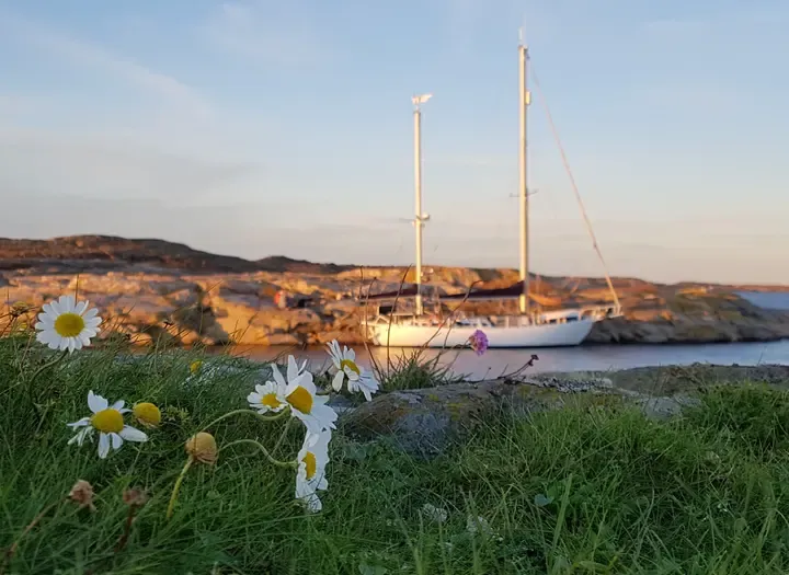 Henåns gästhamn, marina in Henån, Sweden — photo 8