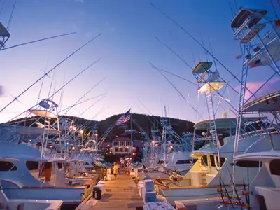 American Yacht Harbor, marina in Saint Thomas - Saint John District, United States — photo 2