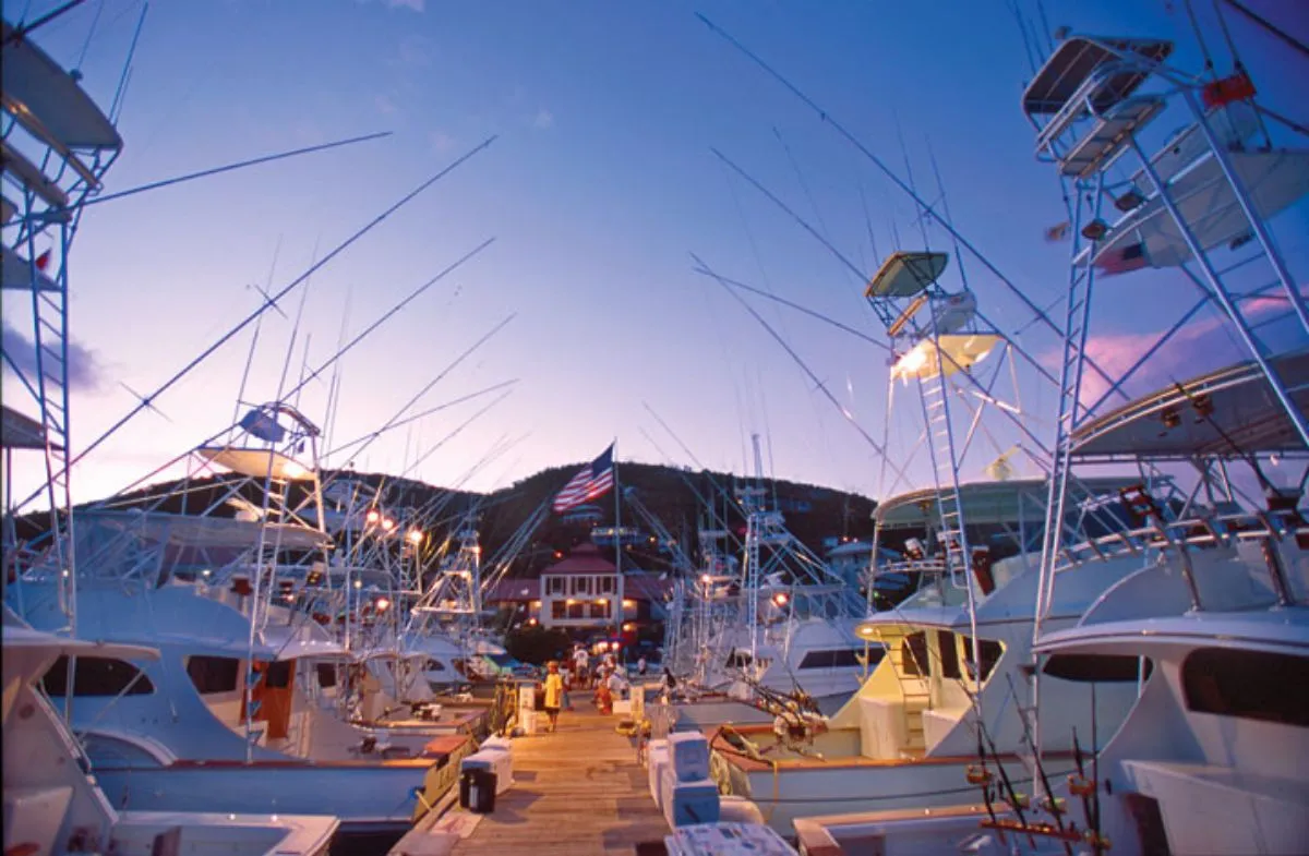American Yacht Harbor, marina in Saint Thomas - Saint John District, United States — photo 2