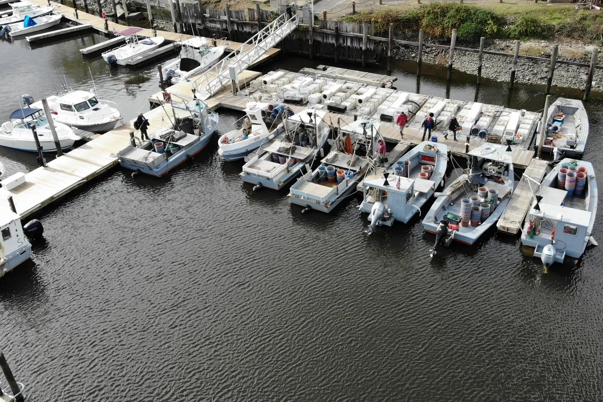 Brown's Marina in Gloucester, United States