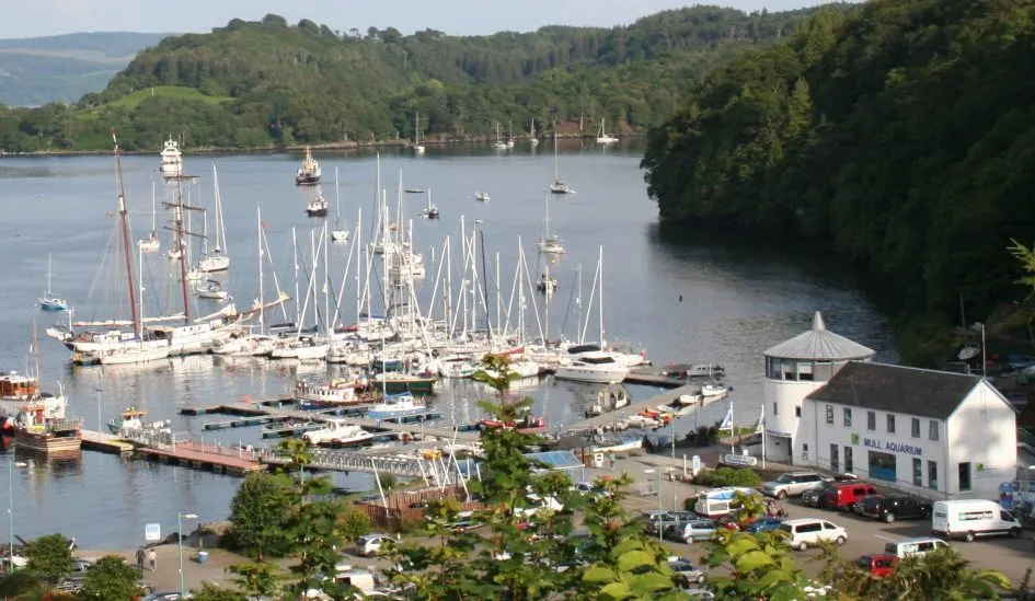 Tobermory Harbour, marina in Tobermory, United Kingdom — photo 4