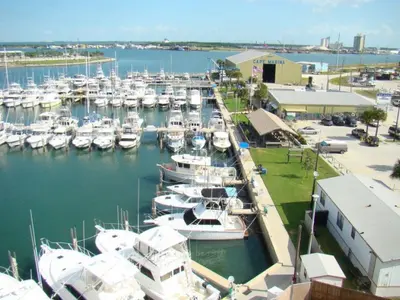 Cape Marina