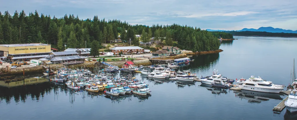Shearwater Resort & Marina, Fishing Lodge, marina in Area A (Ocean Falls/Outer Coast), Canada — photo 5