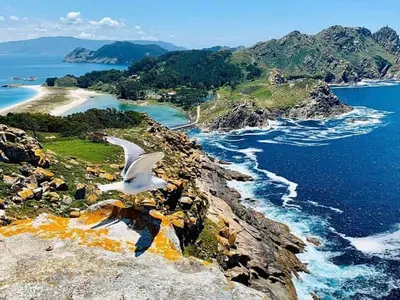 Porto de Cíes