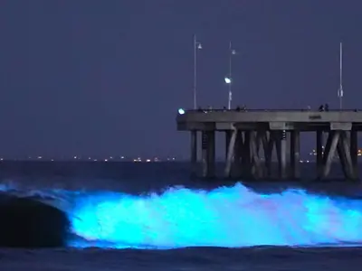 Pier Neon Epivaton, marina in Νέοι Επιβάτες, Greece — photo 2