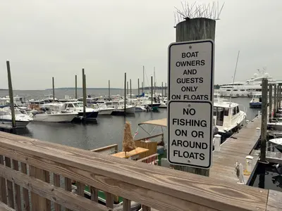 Church Street Marina in Bristol, United States — photo 3
