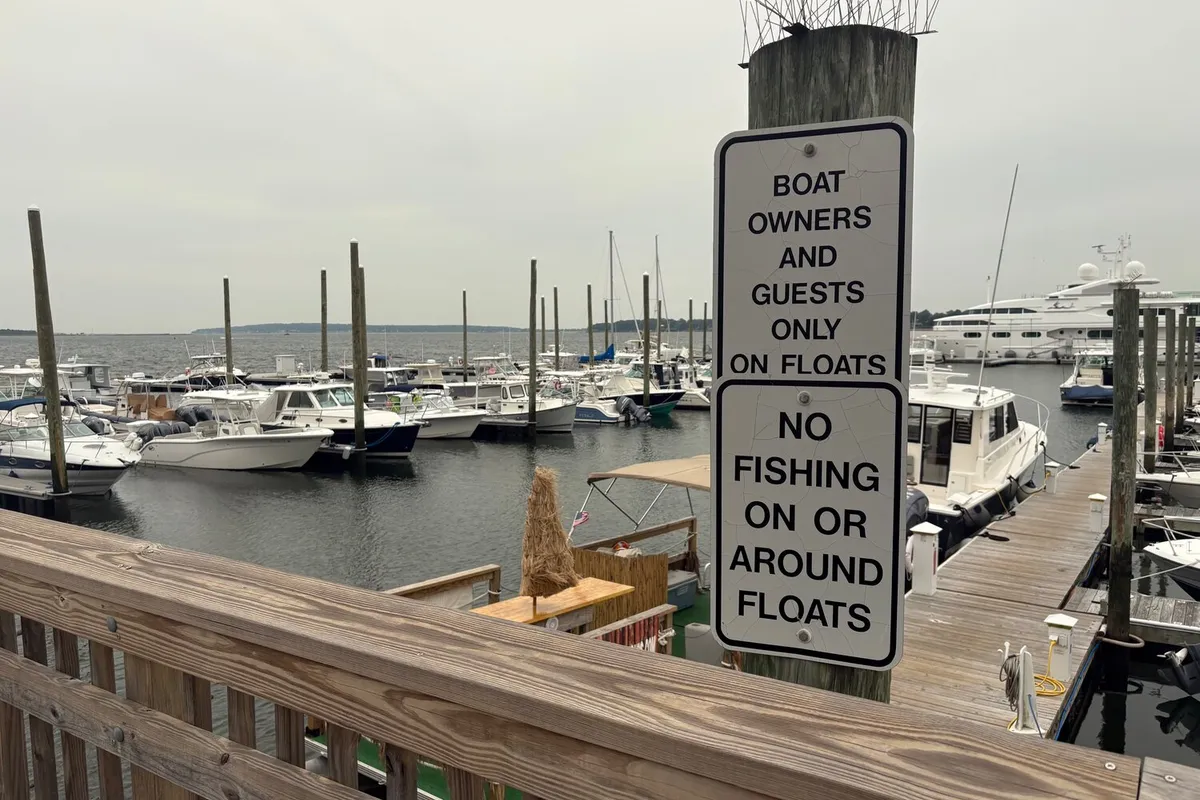 Church Street Marina in Bristol, United States — photo 3