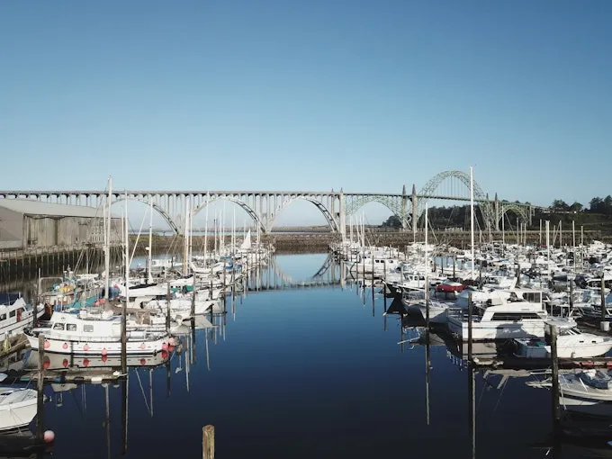 Newport Marina in Newport, United States — photo 6