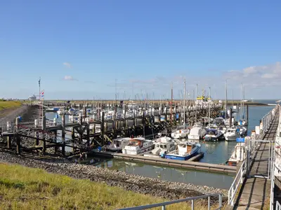 Jachthaven Terneuzen, marina in Terneuzen, Netherlands — photo 5