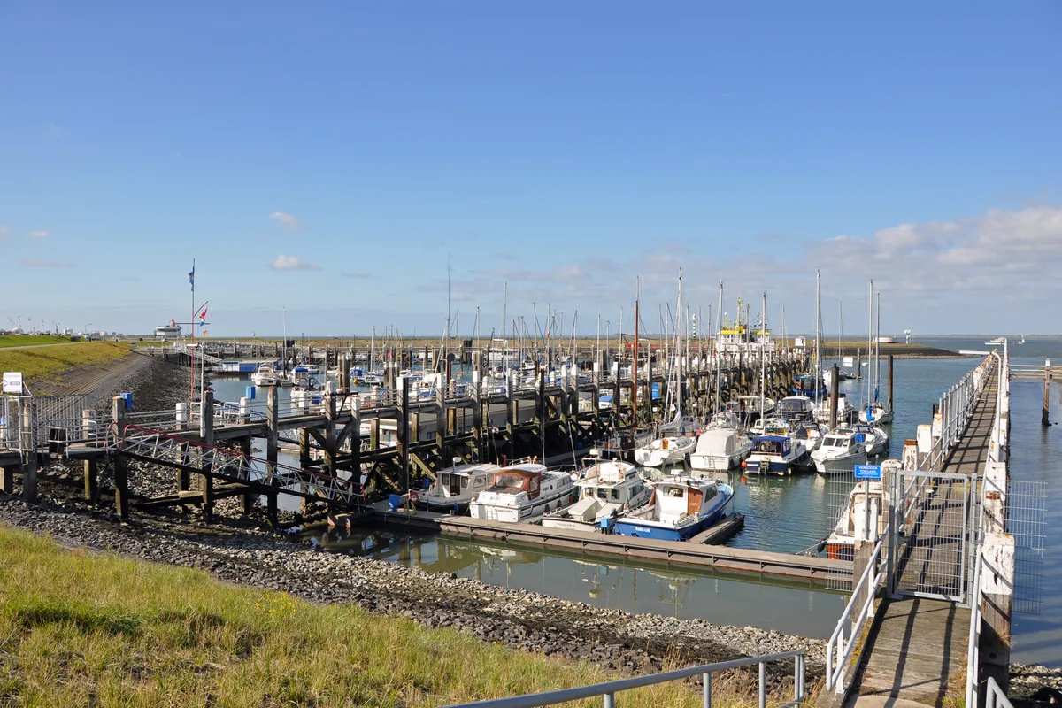 Jachthaven Terneuzen, marina in Terneuzen, Netherlands — photo 5