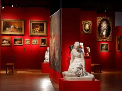 Musée Thomas Henry - Photo 2