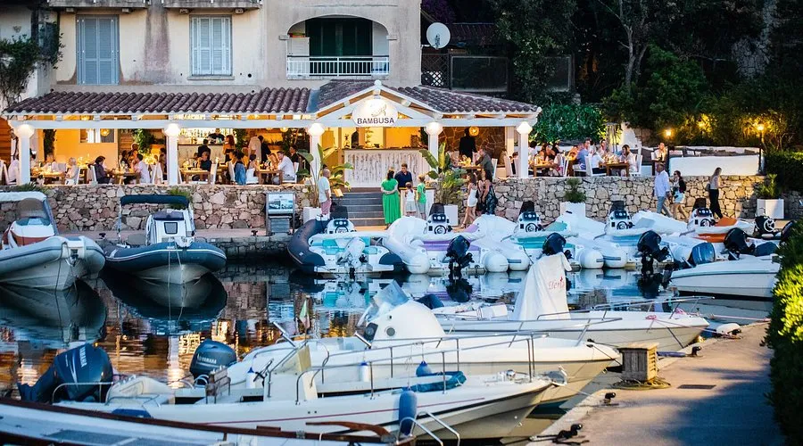 Bambusa Porto Rotondo - Main photo