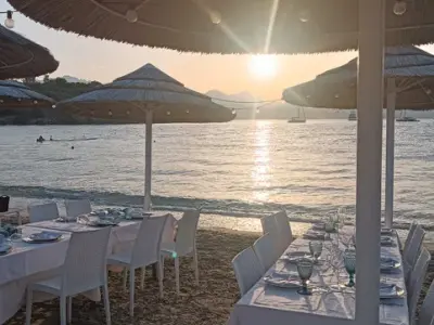 Bambusa Porto Rotondo - Photo 5
