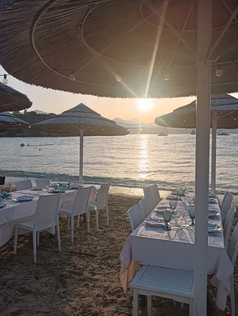 Bambusa Porto Rotondo - Photo 5