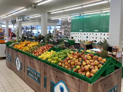 Coop - Photo 3