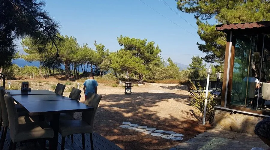 Teos Park - Photo 1