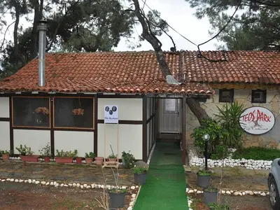 Teos Park - Photo 2