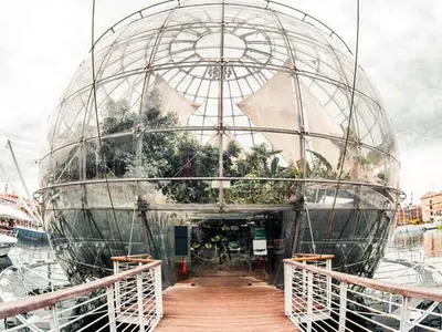Biosfera - Photo 3