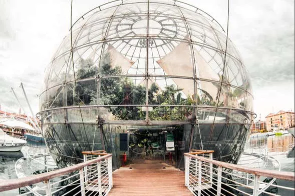 Biosfera - Photo 3