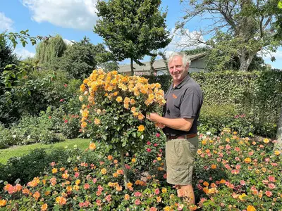 Rosarium Luc Van Esser - Photo 2