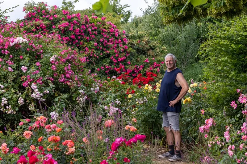 Rosarium Luc Van Esser - Photo 3