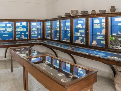 Museo Ignazio Cerio - Photo 2