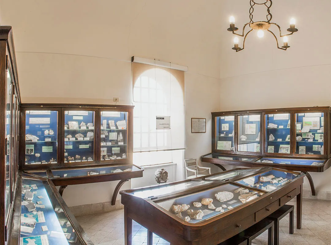 Museo Ignazio Cerio - Photo 1