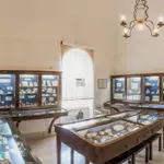 Museo Ignazio Cerio