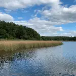 Festwiese am Röblinsee