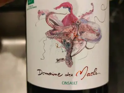 Domaine des Maels - Photo 1
